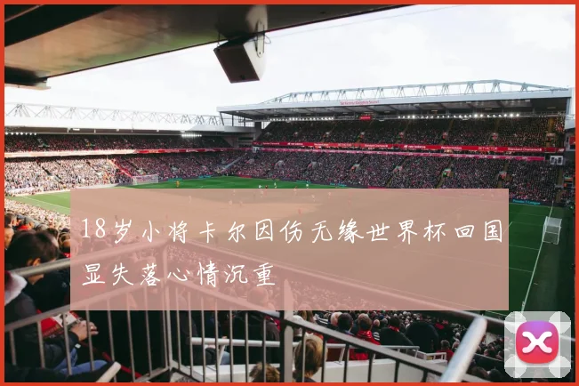 18岁小将卡尔因伤无缘世界杯回国显失落心情沉重