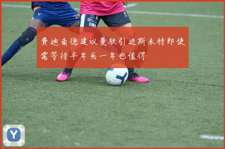费迪南德建议曼联引进斯米特即使需等待半年或一年也值得